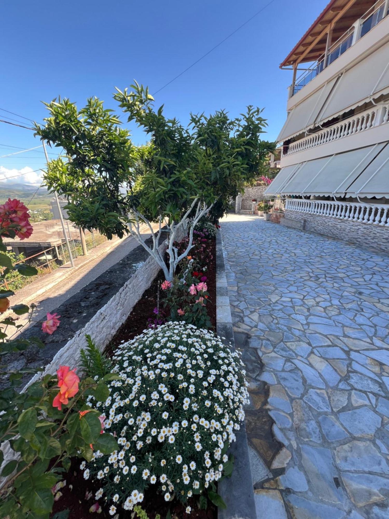 Amazing Familiar Apartments And Rooms Sarandë Eksteriør billede